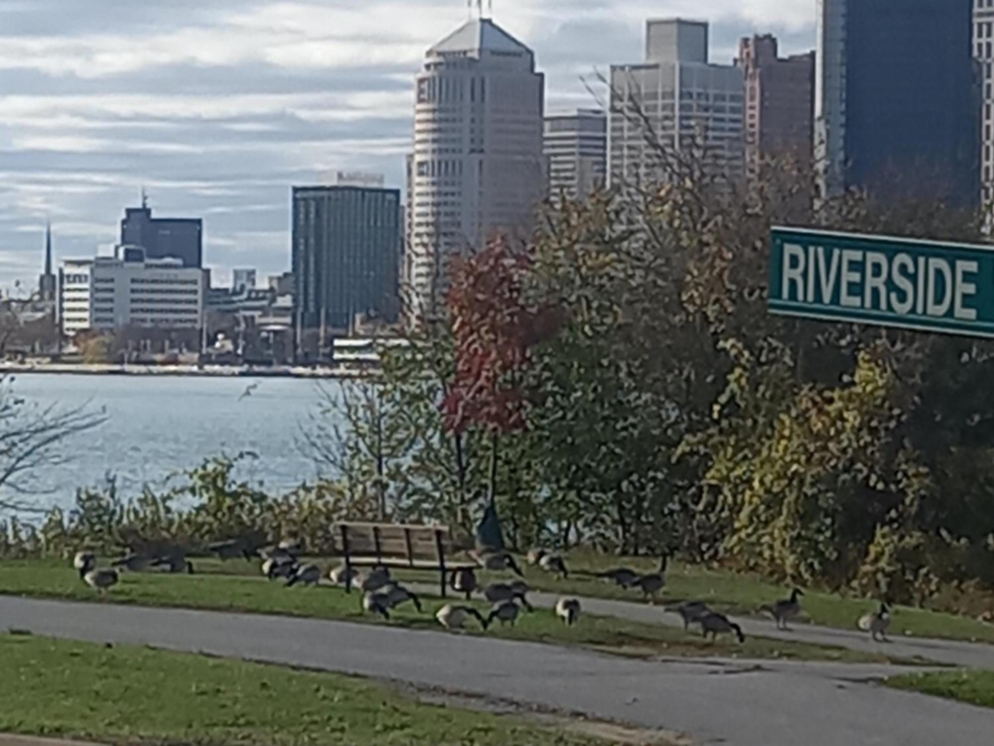 Waterfront ,canada Windsor